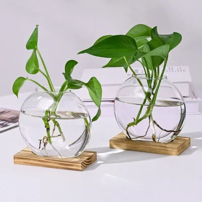 مزهرية زجاجية Epipremnum aureum المائية الإبداعية ، مزهرية لسطح المكتب وغرفة المعيشة ، عنصر زخرفي ، ديكور منزلي ، حاوية تنسيق الزهور