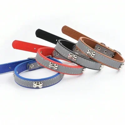 أطواق عاكسة للحيوانات الأليفة، ومقاود، ومستلزمات الكلاب والقطط، وأطواق مضيئة ليلية للكلاب الكبيرة والمتوسطة والصغيرة متوفرة في المخزون