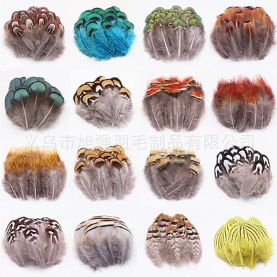 مصنعي الريش بالجملة ريش ذيل الدراج ذو اللون الطبيعي للإكسسوارات الزخرفية المصنوعة يدويًا