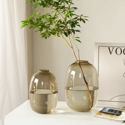 Wholesale of InS-style light luxury and simple glass vases with a high-end feel for the living room, as well as water cultivation decorative items such as the drunken wood pendant clock
