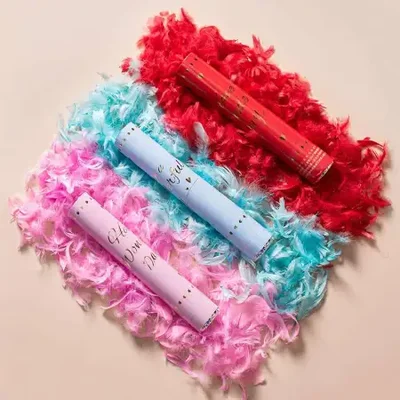 أنابيب الألعاب النارية الريشة، أنابيب الألعاب النارية الزفاف، أنابيب رش الألعاب النارية لالتقاط الصور، أنابيب الألعاب النارية المحمولة للفتح، الانتقال إلى موقع جديد، زفاف الألعاب النارية المعكرون