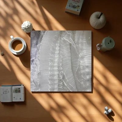 Lace-trimmed clothing accessories are exquisite decorations for women's clothing with lace edges