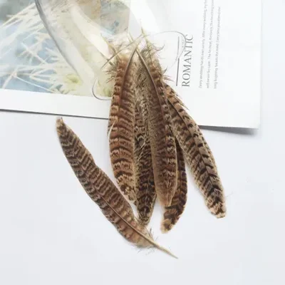 The manufacturer is offering discounted sales of high-quality natural pheasant tail DIY clothing accessories, Indian headwear and natural feathers