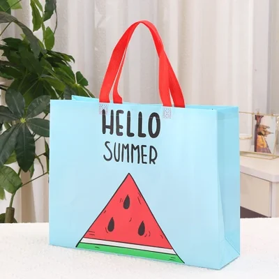 البيع بالجملة لحقائب اليد العصرية لملابس التسوق، وأكياس القماش غير المنسوجة، وأكياس الهدايا التجارية القابلة للطي وأكياس التخزين المغلفة المقاومة للماء