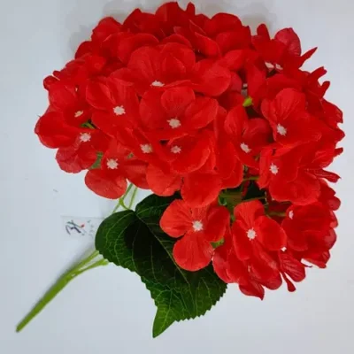 كوبية كبيرة