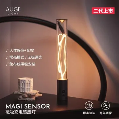 مصباح الكم الحث المغناطيسي، تركيبات الإضاءة خيوط مرنة، مصباح الحث بالأشعة تحت الحمراء القابلة لإعادة الشحن، غرفة النوم الإبداعية ومصباح طاولة غرفة المعيشة