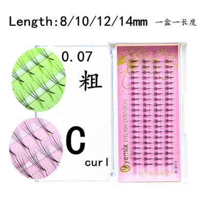 زهور الكاميليا في حالة إزهار كامل، ويمكن قطف الشعر حسب الرغبة دون أن يتساقط.